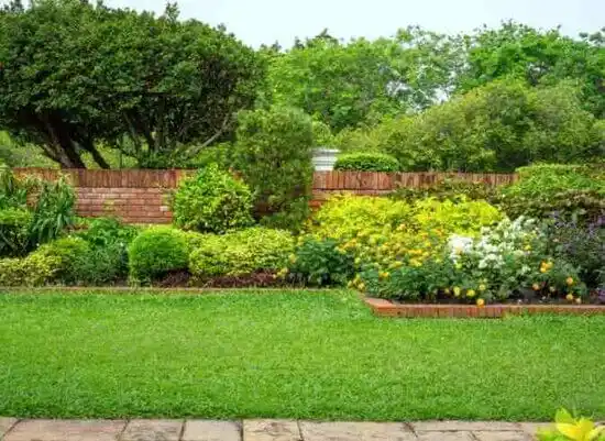 landscaping services San Miguel